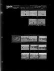 ECC Baseball; Editorial Pictures: Flowers (15 Negatives) March 31 - (April 2, 1965) [Sleeve 75, Folder c, Box 35]